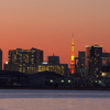 夕暮れと東京タワー