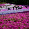 カラフル