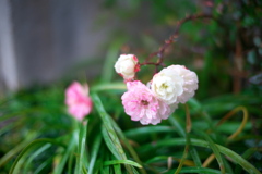 雨の日の足元