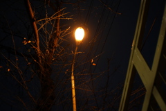 晩秋の街灯