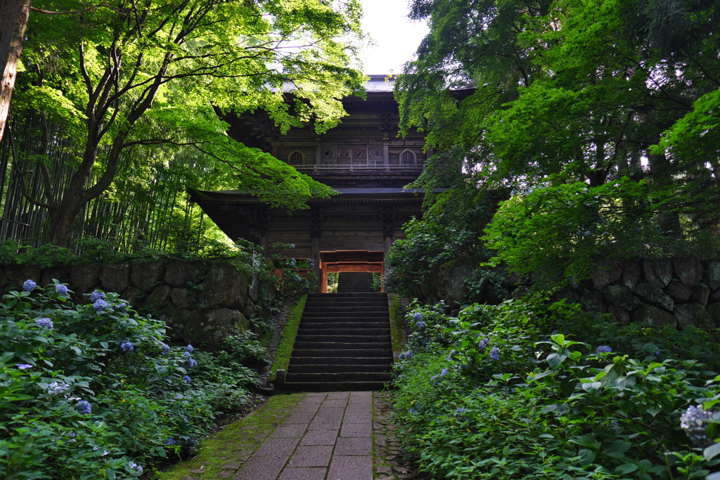 泰寧寺