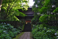 泰寧寺