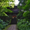 泰寧寺