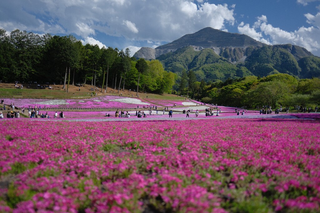 見下ろす神の山