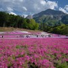 見下ろす神の山