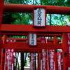 朱