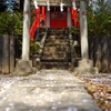 花びらと参道