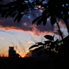南天と夕暮れ