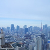 青空と東京タワー
