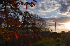 ある日の秋の風景③: 夕暮れと紅葉
