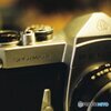 フィルムカメラでの接写の練習３