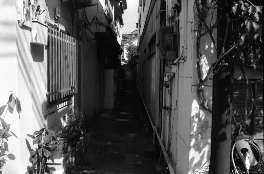 路地
