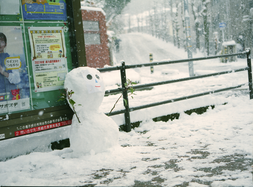 雪達磨