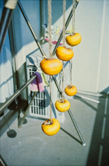 干し柿