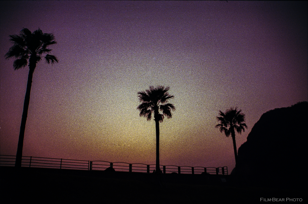 日没