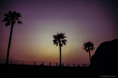 日没