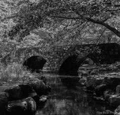 修理後のテスト