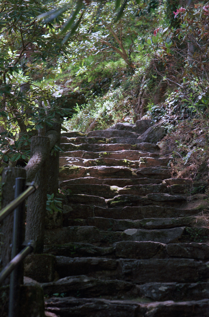 山道