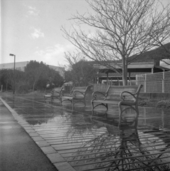 雨上がり