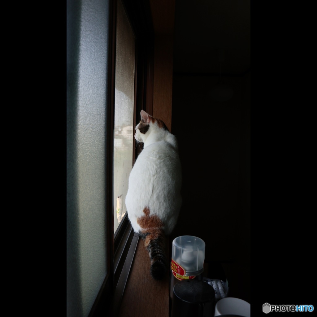 昭和の窓