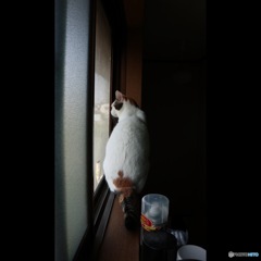 昭和の窓