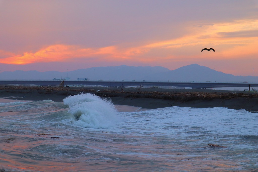 01A1E77E-A70B-4E46-9A0D-31132CDA9645