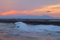 01A1E77E-A70B-4E46-9A0D-31132CDA9645