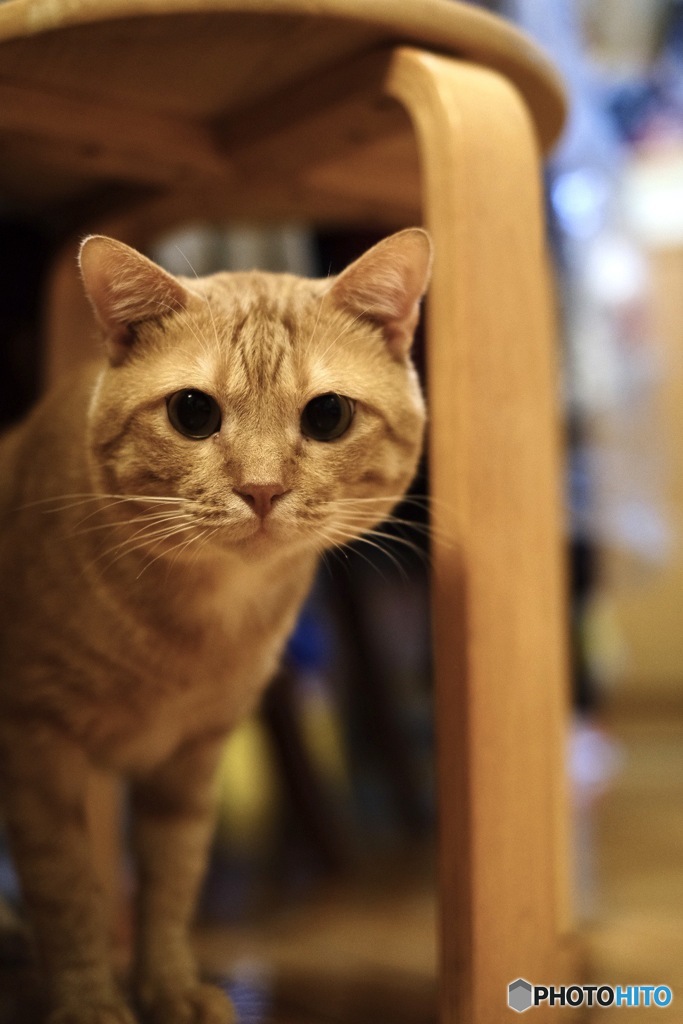 7517A60B-5DDB-4224-8666-3C546C5594D9