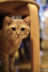 7517A60B-5DDB-4224-8666-3C546C5594D9