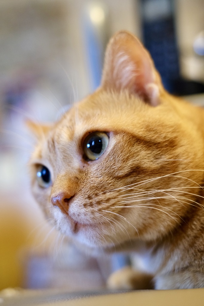 96B13E33-7FEA-404F-892B-7EA56C26D134