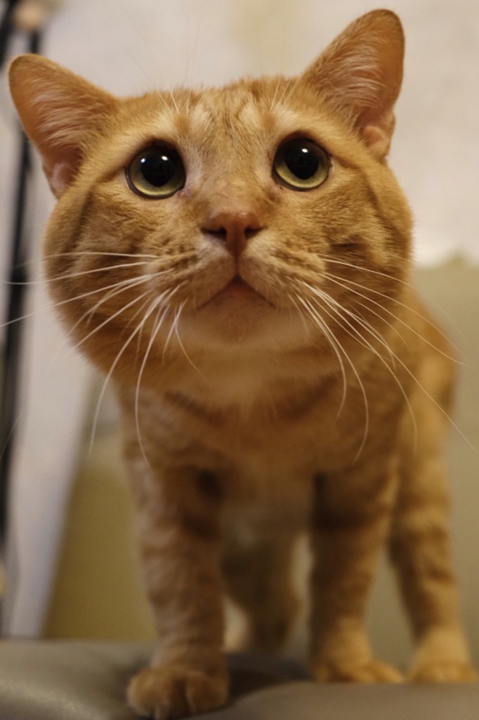 FCAA60EA-376E-407D-B5A2-CB1B3720F2A1