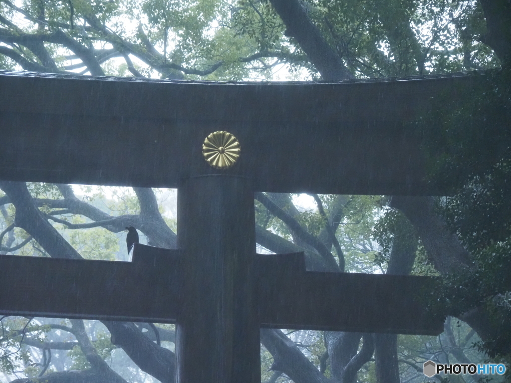 雨宿り？