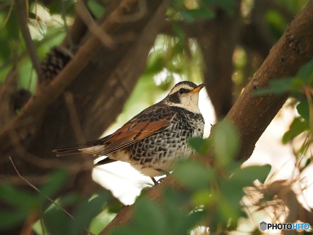 暖かくなって来たね