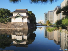 皇居桜田巽櫓リフレクション