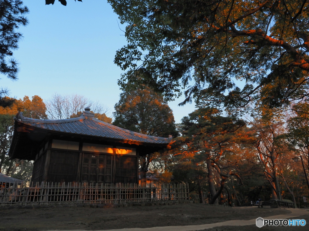 夕暮れ