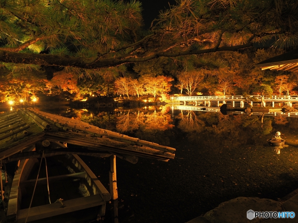 夜の日本庭園