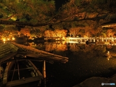 夜の日本庭園