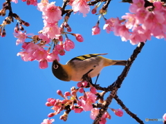 春の味