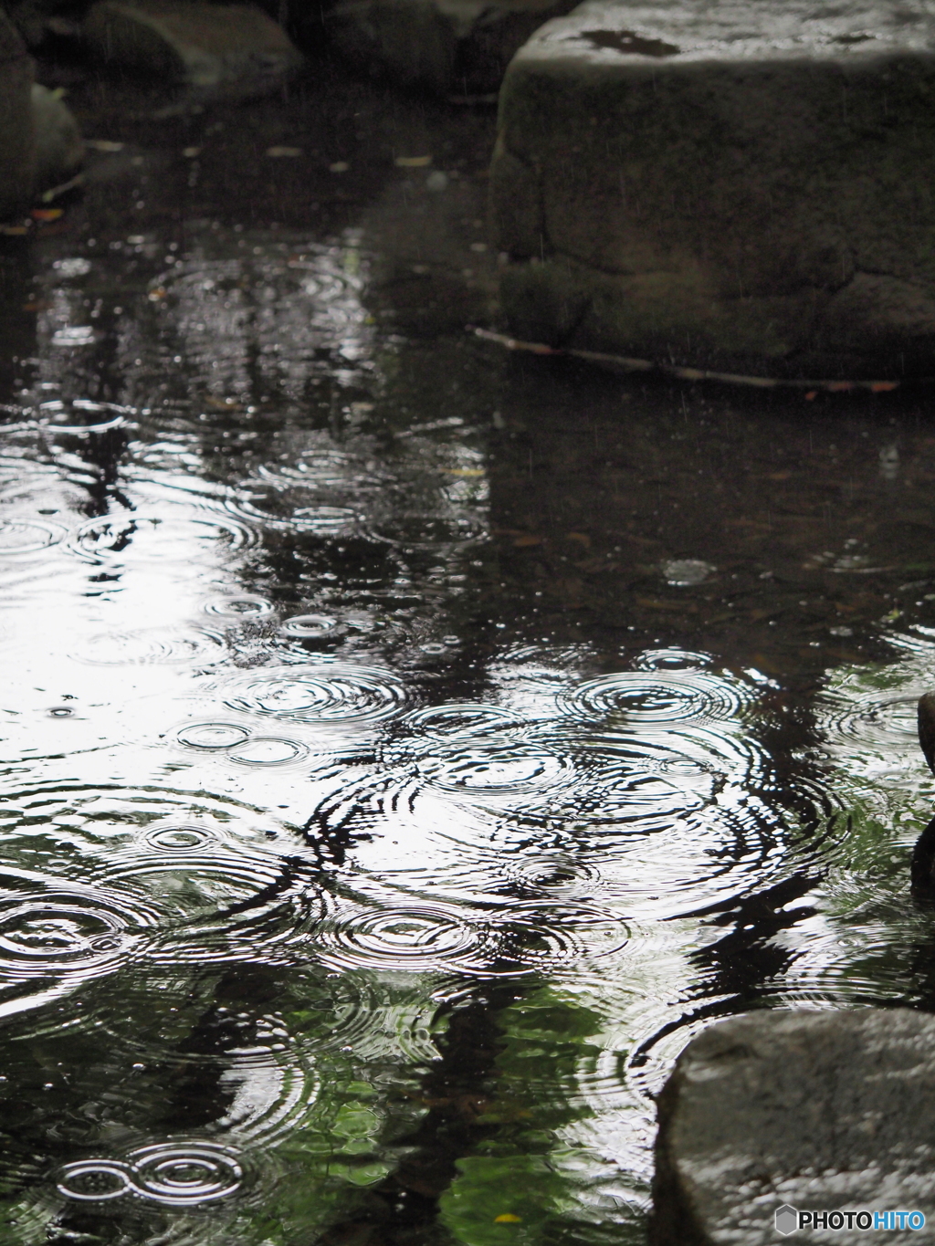 雨の造形