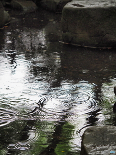 雨の造形