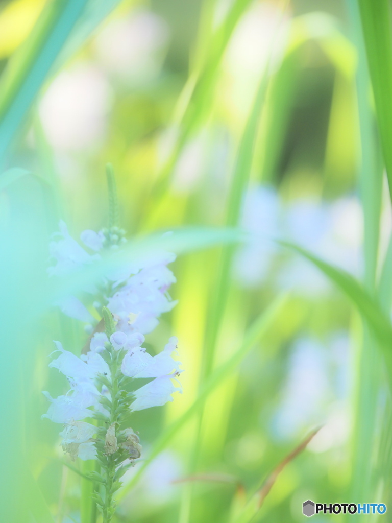 暑い夏も爽やかに