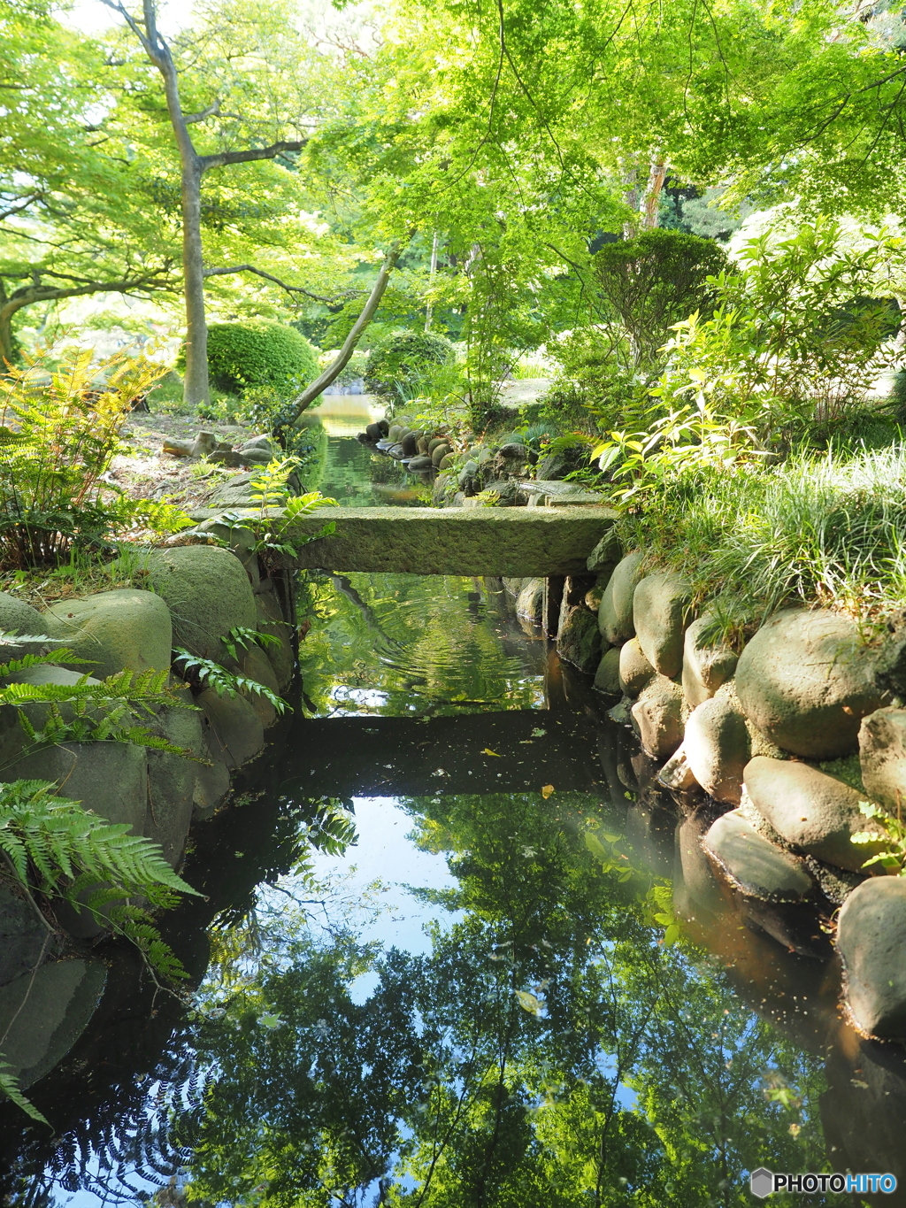 新緑の日本庭園