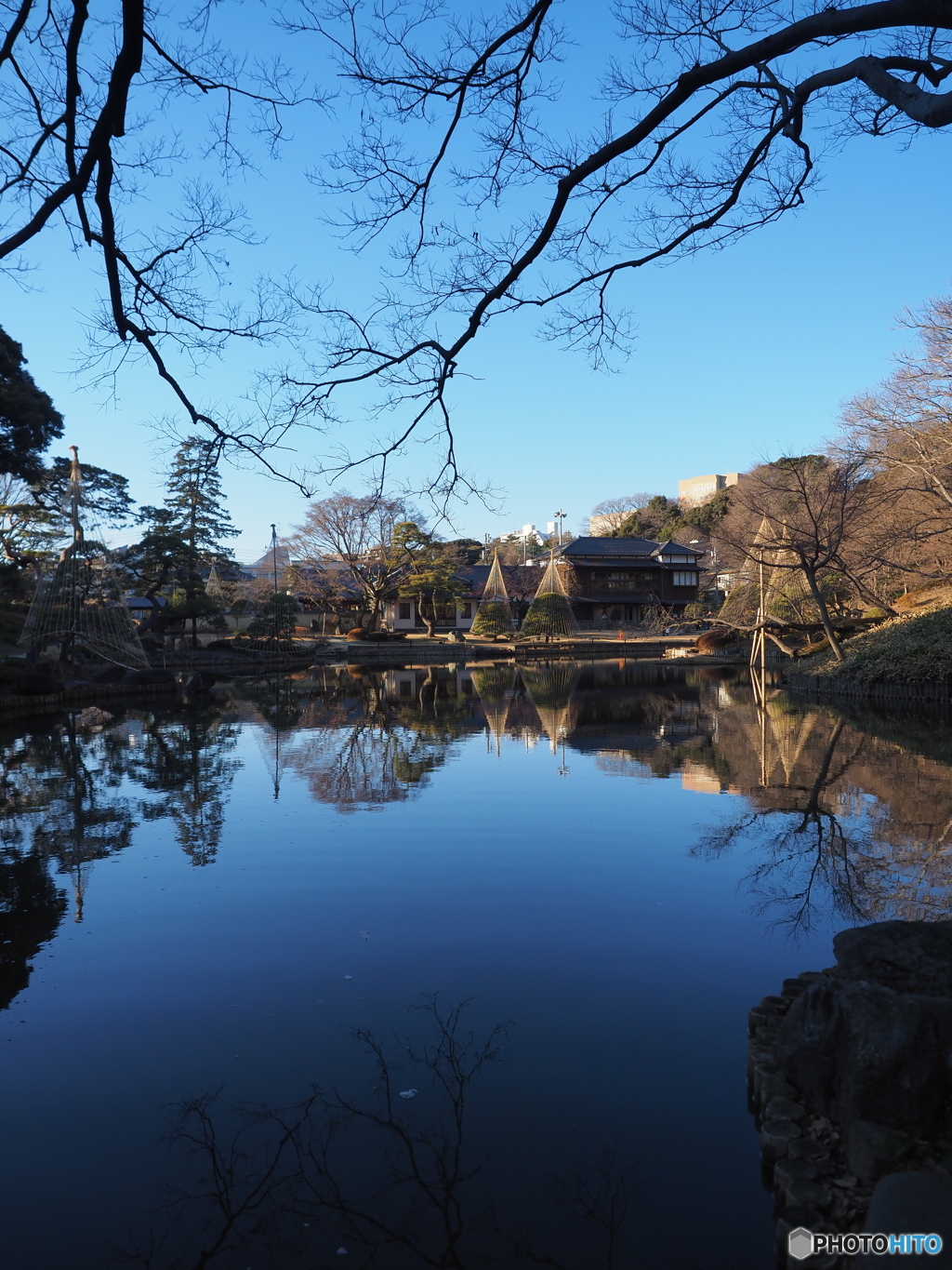 雪吊りのある庭園