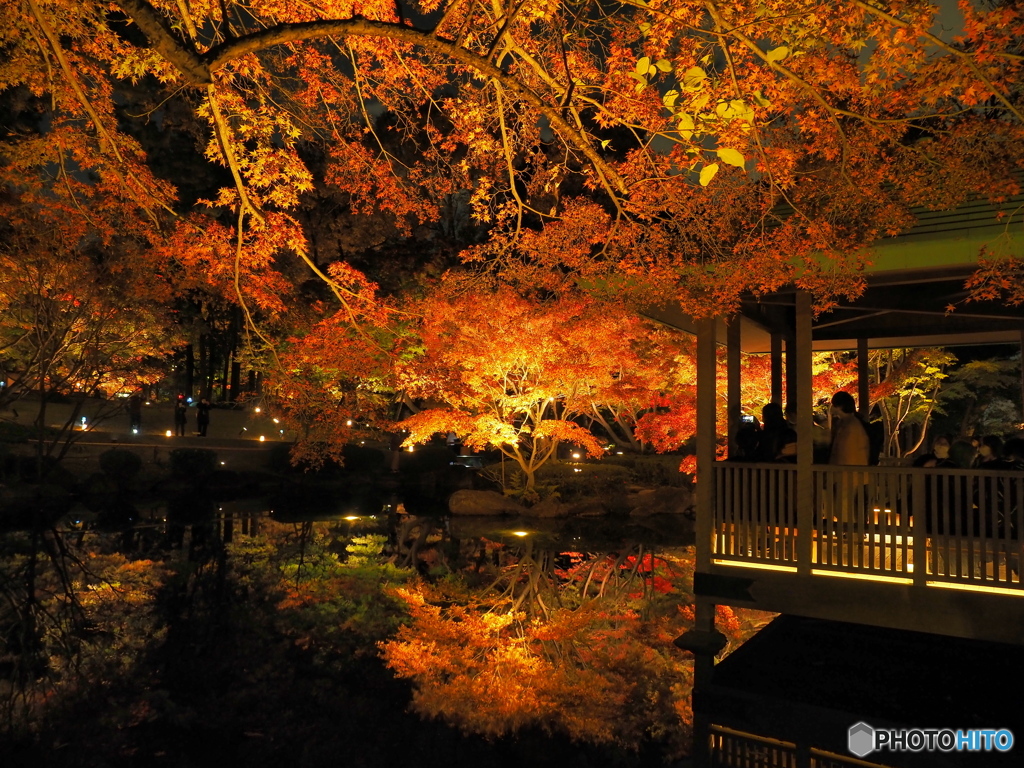 紅葉の池をあずま屋後ろから