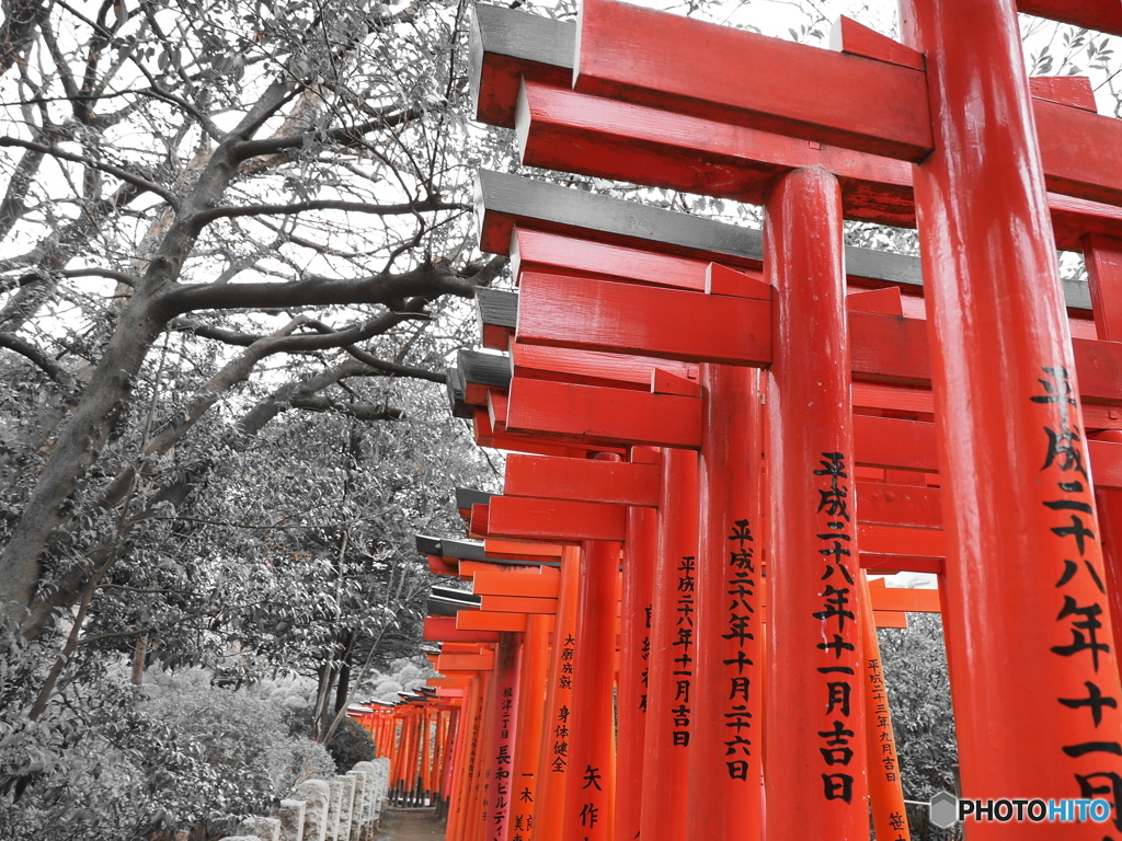 千本鳥居