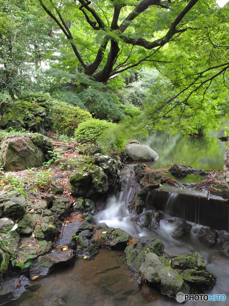 季節は夏から秋へ