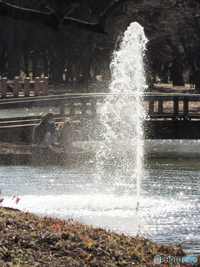 冬日和の公園