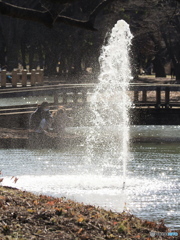 冬日和の公園