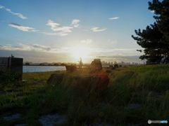 夕暮れの海浜公園