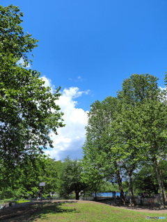 初夏の陽気に誘われて